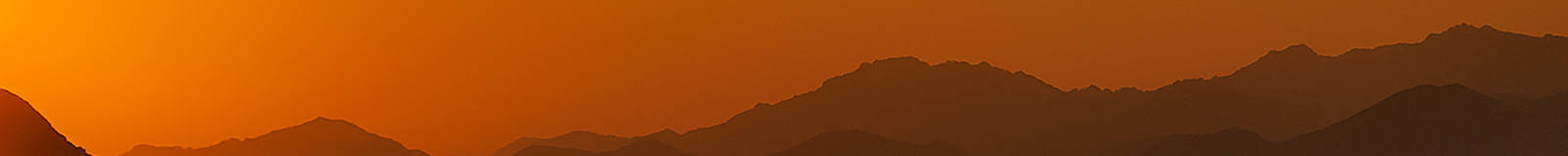 high_value_man_banner_30x3cm_web_optimized